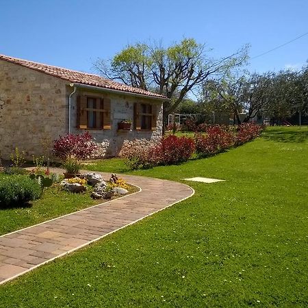 Holiday House Sweet Home Umag Extérieur photo