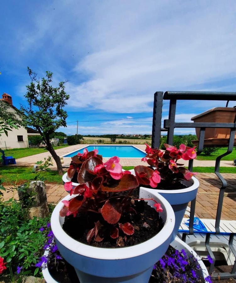 Holiday House Sweet Home Umag Extérieur photo